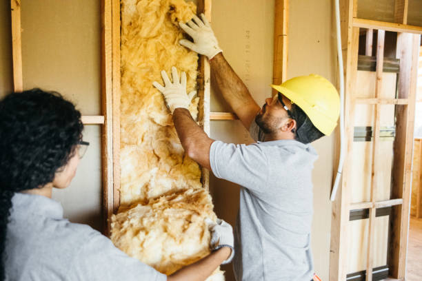 Types of Insulation We Offer in Wade Hampton, SC